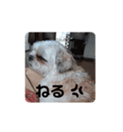 やさぐれぷーすけ（個別スタンプ：23）