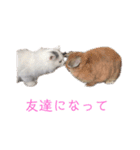 ラガマフィンのルルちゃん（個別スタンプ：18）