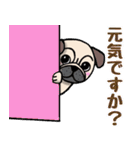 パグの大吉！あいさつスタンプ（個別スタンプ：8）