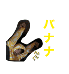さんのいち③（個別スタンプ：5）