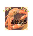 ジャッキー太郎（個別スタンプ：5）
