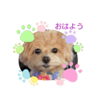 ☆40種類☆可愛い日常スタンプ犬（個別スタンプ：1）