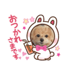 ☆40種類☆可愛い日常スタンプ犬（個別スタンプ：6）