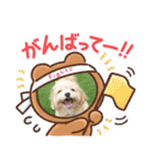 ☆40種類☆可愛い日常スタンプ犬（個別スタンプ：7）
