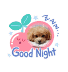 ☆40種類☆可愛い日常スタンプ犬（個別スタンプ：9）