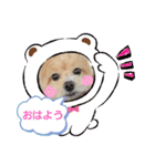 ☆40種類☆可愛い日常スタンプ犬（個別スタンプ：11）