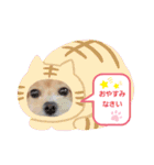 ☆40種類☆可愛い日常スタンプ犬（個別スタンプ：12）
