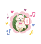 ☆40種類☆可愛い日常スタンプ犬（個別スタンプ：14）
