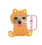 ☆40種類☆可愛い日常スタンプ犬（個別スタンプ：22）