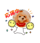 ☆40種類☆可愛い日常スタンプ犬（個別スタンプ：25）