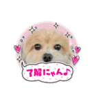 ☆40種類☆可愛い日常スタンプ犬（個別スタンプ：28）