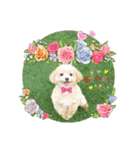 ☆40種類☆可愛い日常スタンプ犬（個別スタンプ：30）