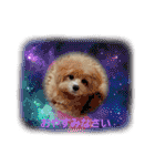 ☆40種類☆可愛い日常スタンプ犬（個別スタンプ：31）