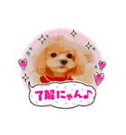 ☆40種類☆可愛い日常スタンプ犬（個別スタンプ：32）