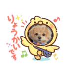 ☆40種類☆可愛い日常スタンプ犬（個別スタンプ：36）