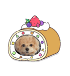 ☆40種類☆可愛い日常スタンプ犬（個別スタンプ：39）