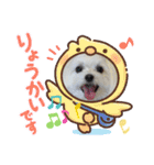 マルチーズのハクちゃん（個別スタンプ：6）