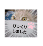 有り難うの感謝ごめんなさいの謝罪簡単感嘆（個別スタンプ：10）