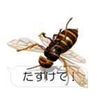 スマホの上のスズメバチ《Ver. 03》（個別スタンプ：18）
