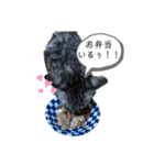 アルナハ2（個別スタンプ：1）
