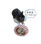 アルナハ2（個別スタンプ：2）