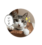 アルナハ2（個別スタンプ：4）