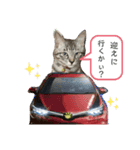 アルナハ2（個別スタンプ：7）
