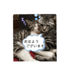 アルナハ2（個別スタンプ：9）