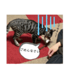 アルナハ2（個別スタンプ：10）