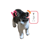 アルナハ2（個別スタンプ：13）