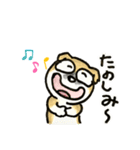 うちのビキさん（個別スタンプ：10）