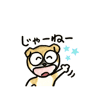 うちのビキさん（個別スタンプ：24）