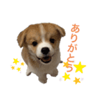モコとハンナ（個別スタンプ：1）