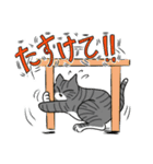 猫が伝える防災用LINEスタンプ（個別スタンプ：6）