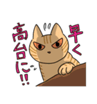 猫が伝える防災用LINEスタンプ（個別スタンプ：7）