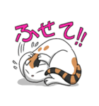 猫が伝える防災用LINEスタンプ（個別スタンプ：8）