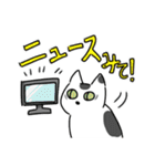 猫が伝える防災用LINEスタンプ（個別スタンプ：10）