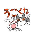 猫が伝える防災用LINEスタンプ（個別スタンプ：11）