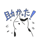 猫が伝える防災用LINEスタンプ（個別スタンプ：12）