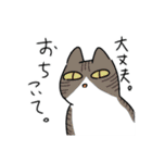 猫が伝える防災用LINEスタンプ（個別スタンプ：16）