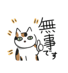 猫が伝える防災用LINEスタンプ（個別スタンプ：17）