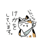 猫が伝える防災用LINEスタンプ（個別スタンプ：19）