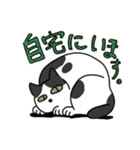 猫が伝える防災用LINEスタンプ（個別スタンプ：20）