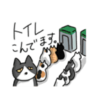 猫が伝える防災用LINEスタンプ（個別スタンプ：22）