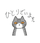 猫が伝える防災用LINEスタンプ（個別スタンプ：24）