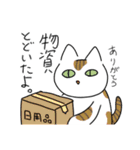 猫が伝える防災用LINEスタンプ（個別スタンプ：25）