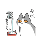 猫が伝える防災用LINEスタンプ（個別スタンプ：26）