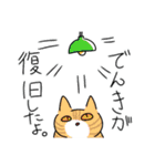 猫が伝える防災用LINEスタンプ（個別スタンプ：27）