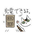 猫が伝える防災用LINEスタンプ（個別スタンプ：28）