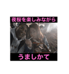 さくら：チャビック＆カズミ（個別スタンプ：32）